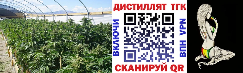 закладки  Невельск  Дистиллят ТГК вейп 