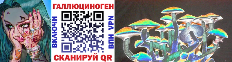 купить наркотики цена  Невельск  это Telegram  Псилоцибиновые грибы Psilocybine cubensis 